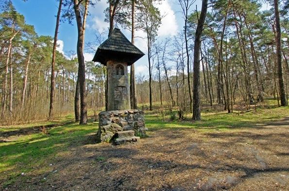 Zdjęcie do wiadomości Rezerwat "Rycerski Kierz" i pomnik Stacha Konwy