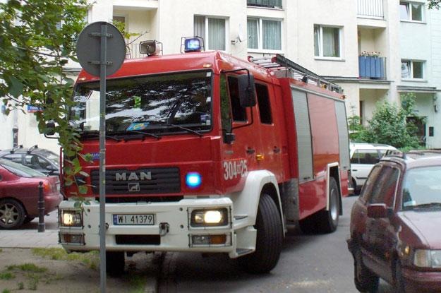 Foto nr 41524