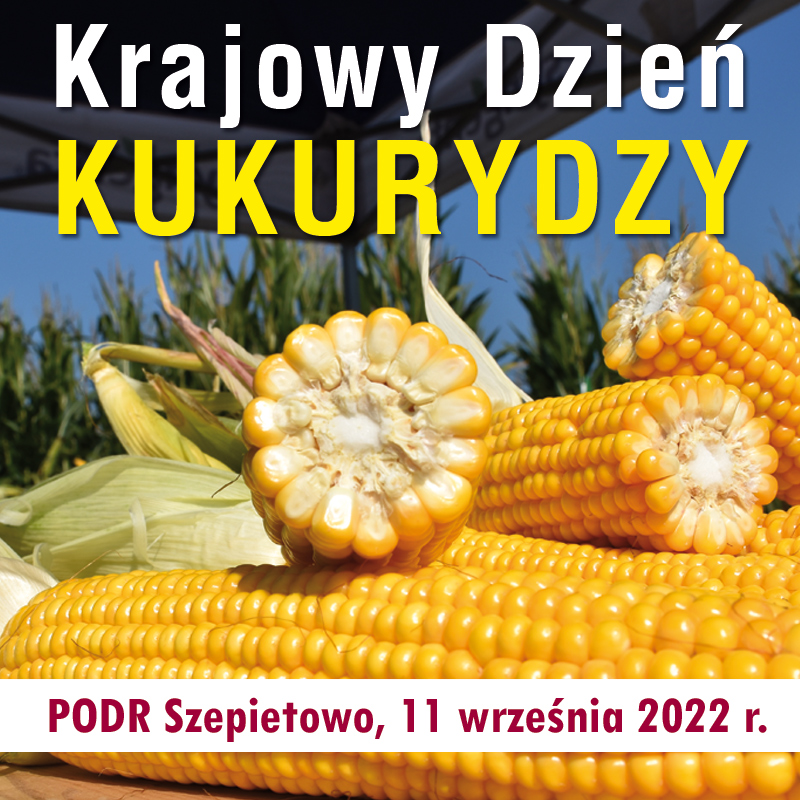 Foto nr 42862